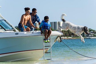 2027 Boston Whaler 240 Vantage 9