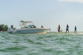 2027 Boston Whaler 240 Vantage 16