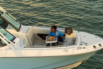 2027 Boston Whaler 240 Vantage 37