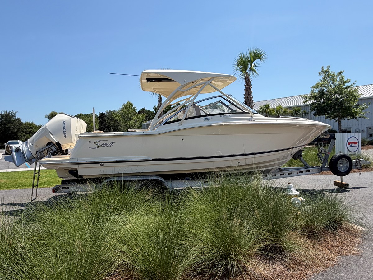 2024 Scout 255 DORADO 4