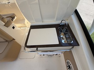 2024 Scout 255 DORADO 10