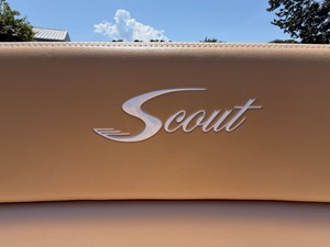 2024 Scout 255 DORADO 27