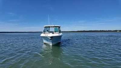 2027 Boston Whaler 330 Vantage 34