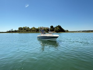 Scout 188 Sport Dorado 6 2027 Scout 188 Sport Dorado 7