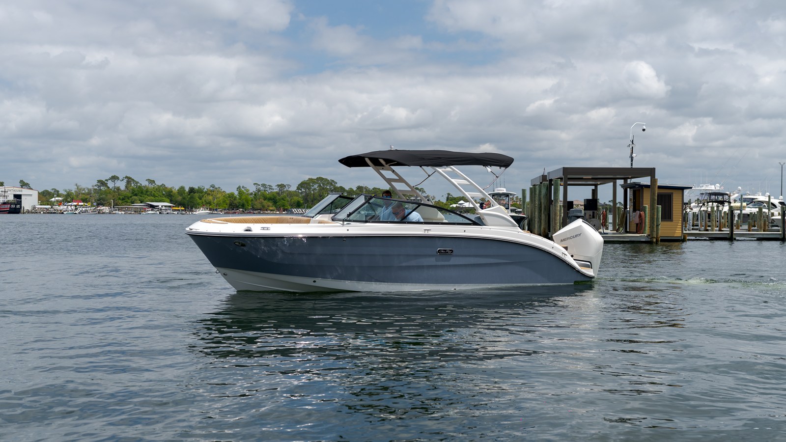 2026 Sea Ray SDX 250 Outboard 2