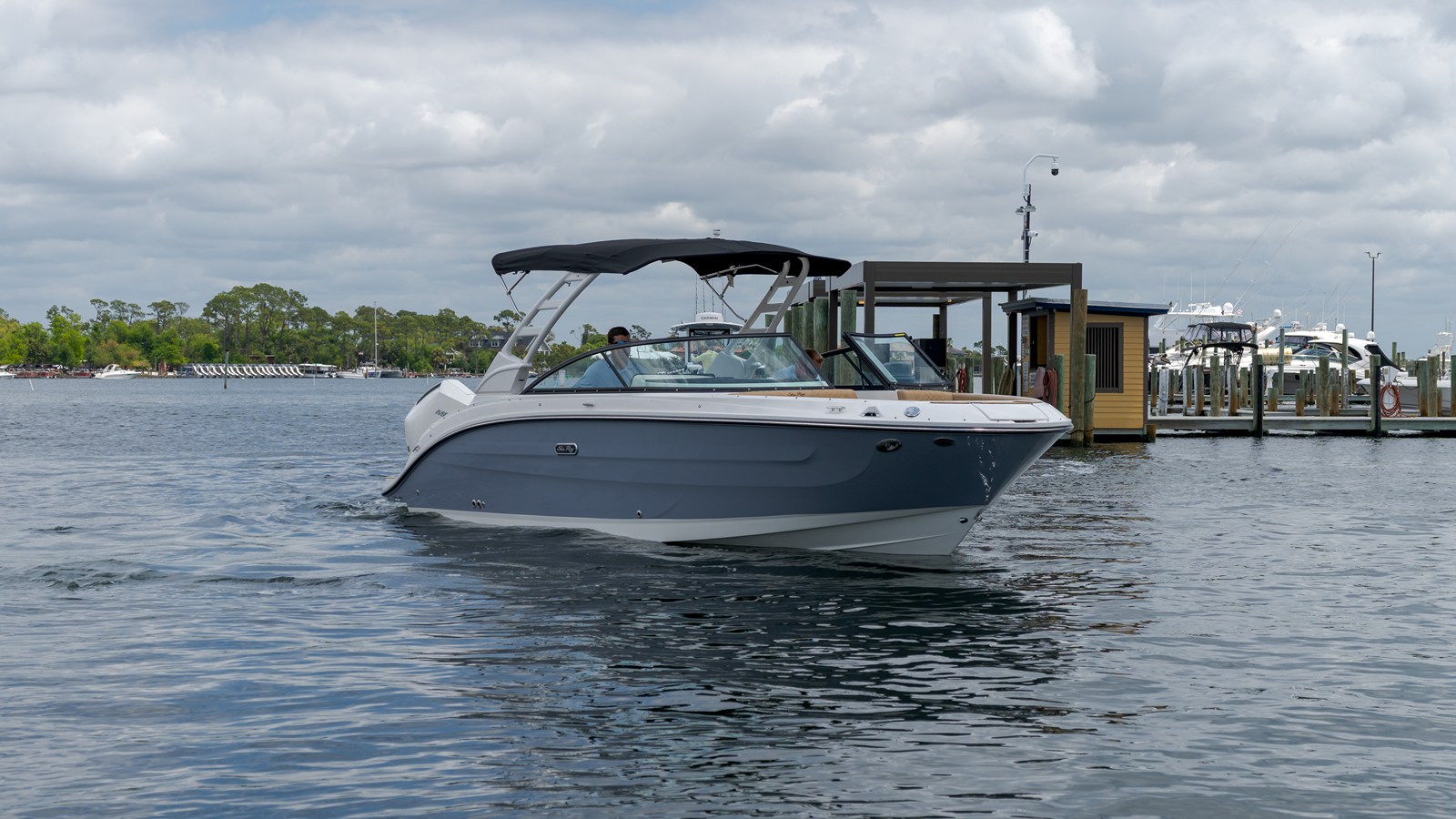 2026 Sea Ray SDX 250 Outboard 5