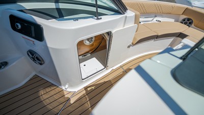 2026 Sea Ray SDX 250 Outboard 17