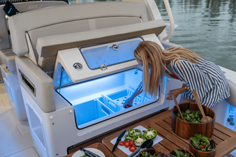 2027 Boston Whaler 380 Realm 27