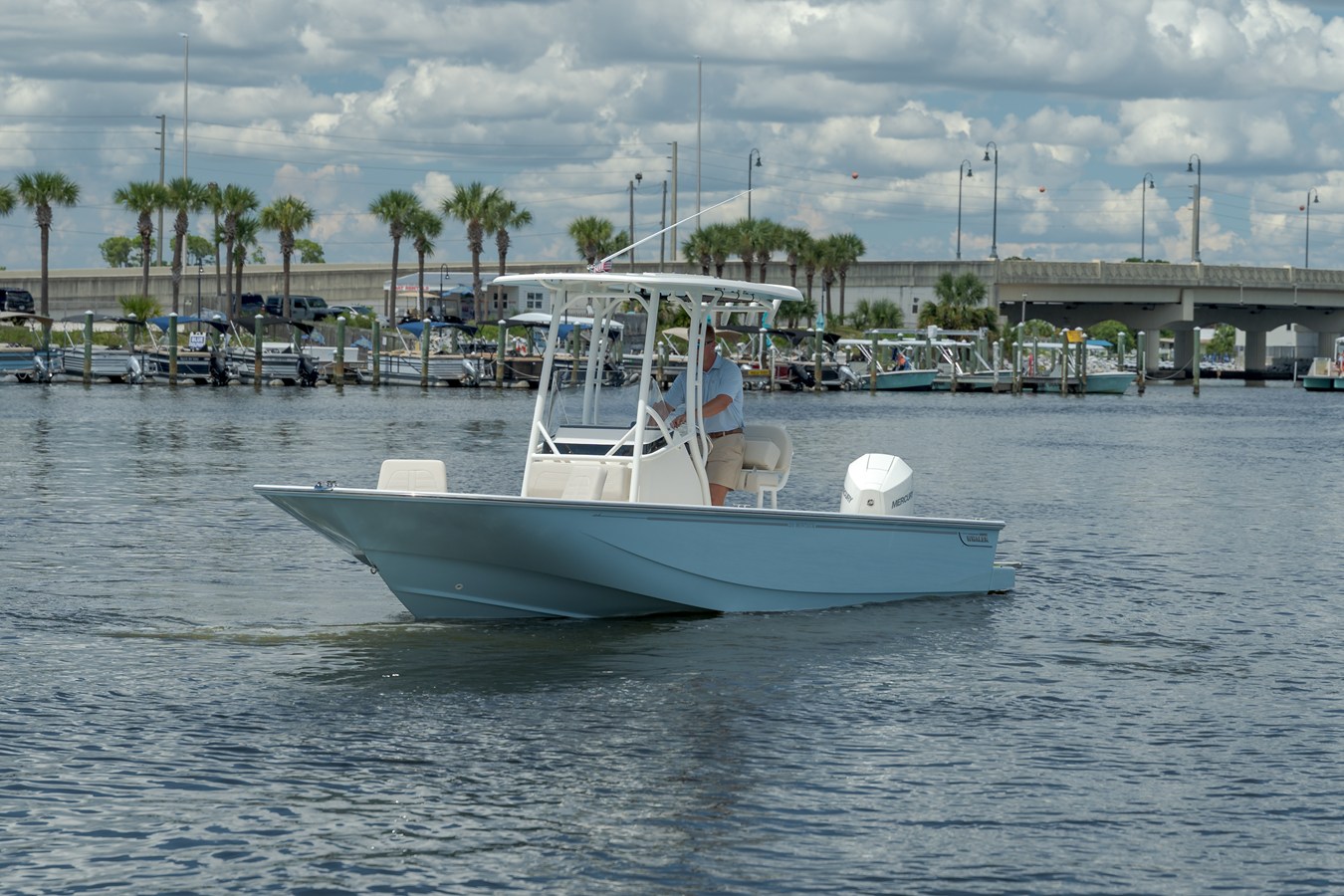 2027 Boston Whaler 210 Montauk 2