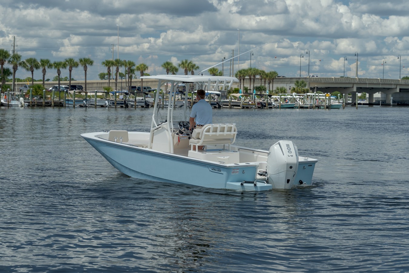 2027 Boston Whaler 210 Montauk 9