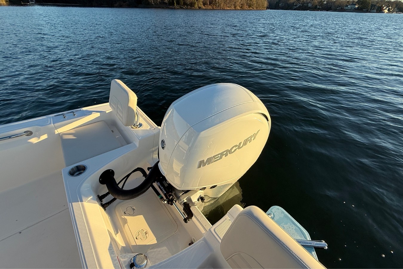 2026 Boston Whaler 190 Montauk 8