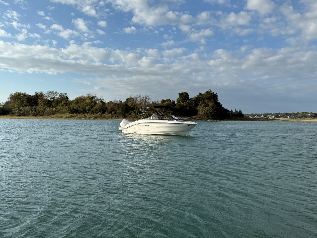 2026 Sea Ray SPX 210 Outboard 2