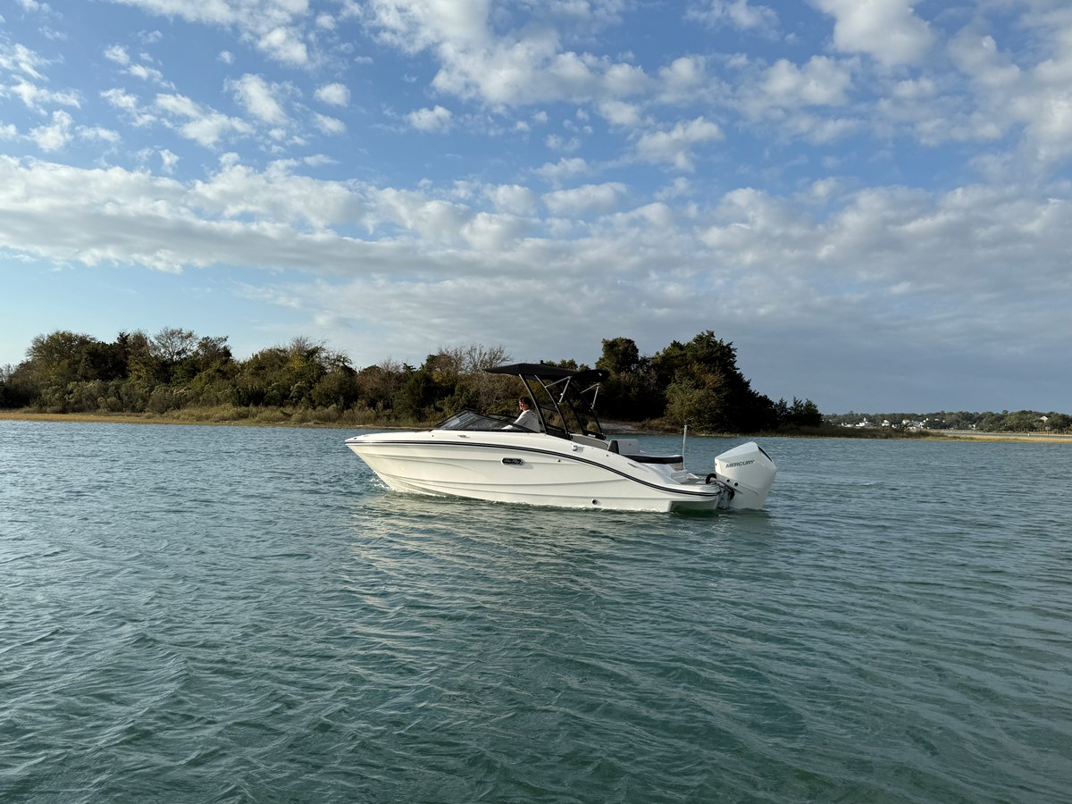 2026 Sea Ray SPX 210 Outboard 3