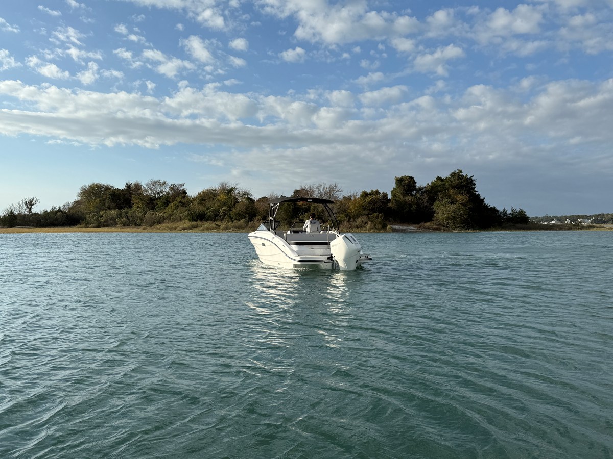 2026 Sea Ray SPX 210 Outboard 4