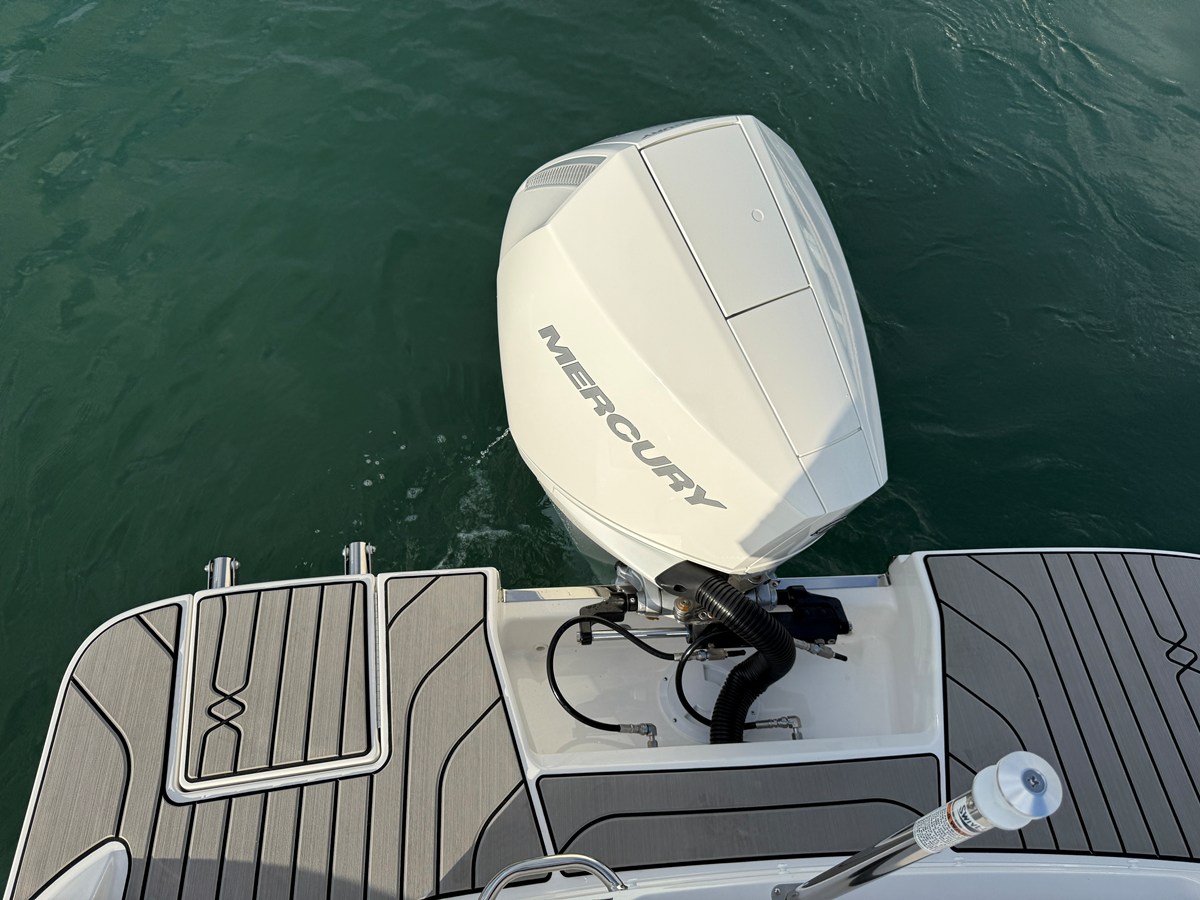2026 Sea Ray SPX 210 Outboard 5