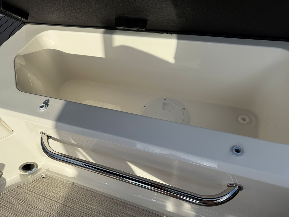 2026 Sea Ray SPX 210 Outboard 10