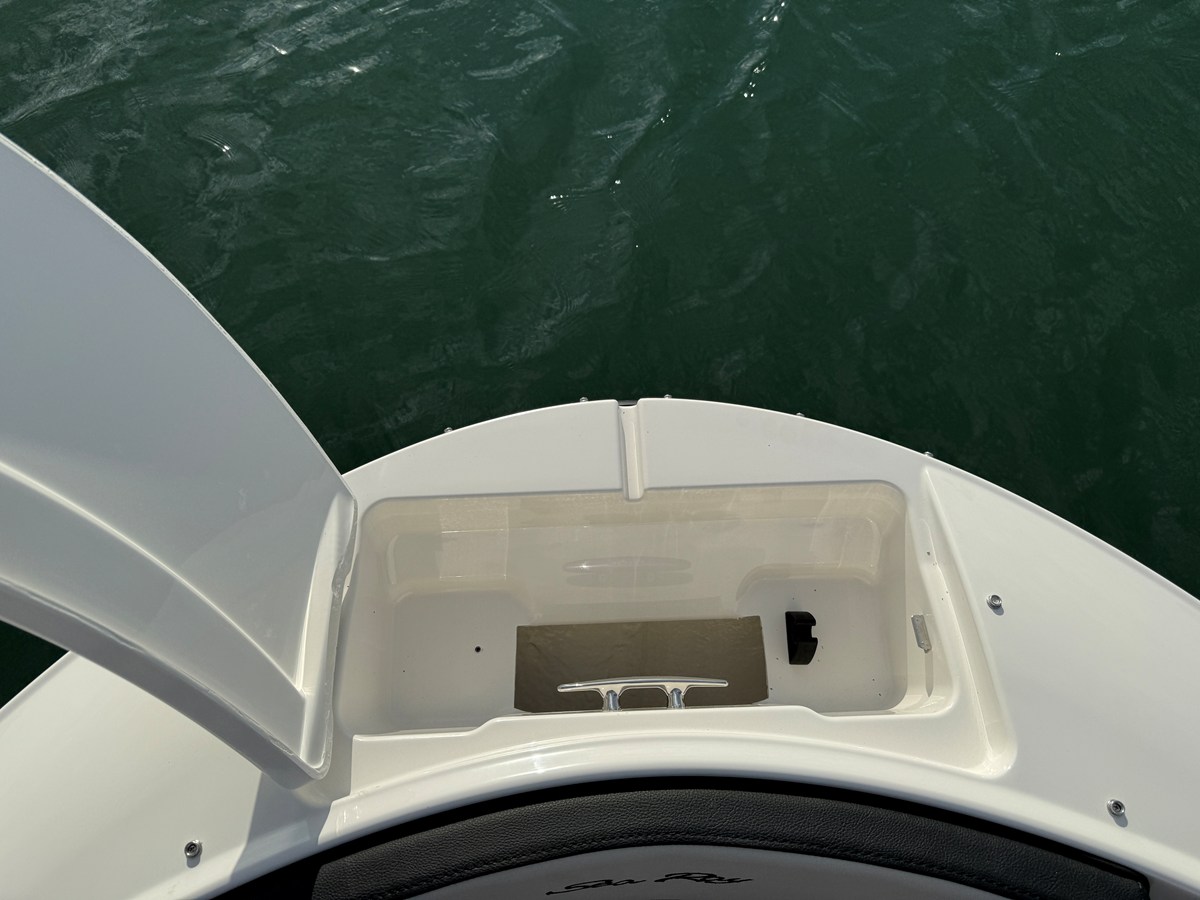 2026 Sea Ray SPX 210 Outboard 19