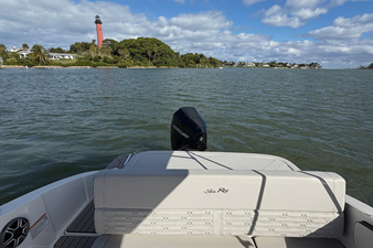 2026 Sea Ray SPX 210 Outboard 7
