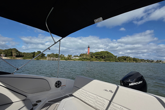 2026 Sea Ray SPX 210 Outboard 17