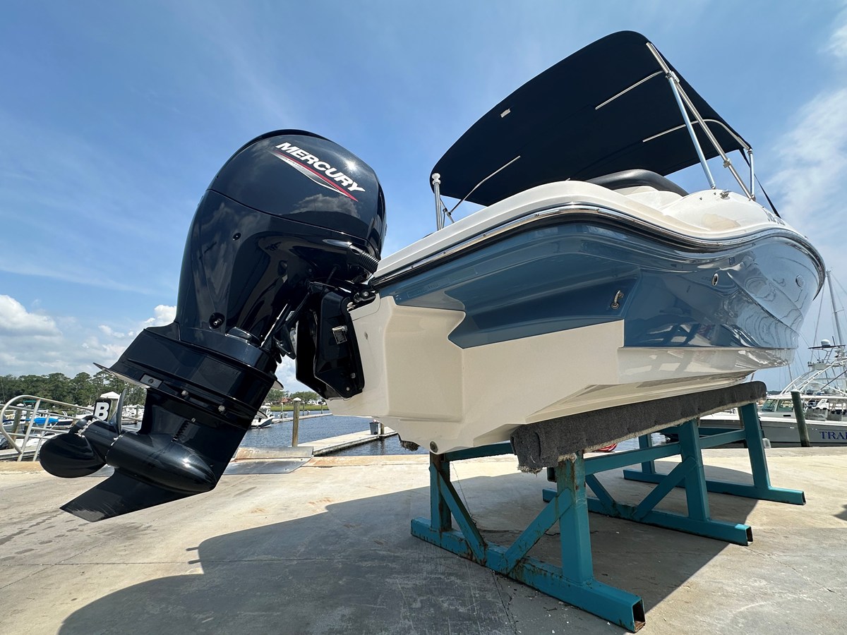 2022 Sea Ray 19 SPX OB 14