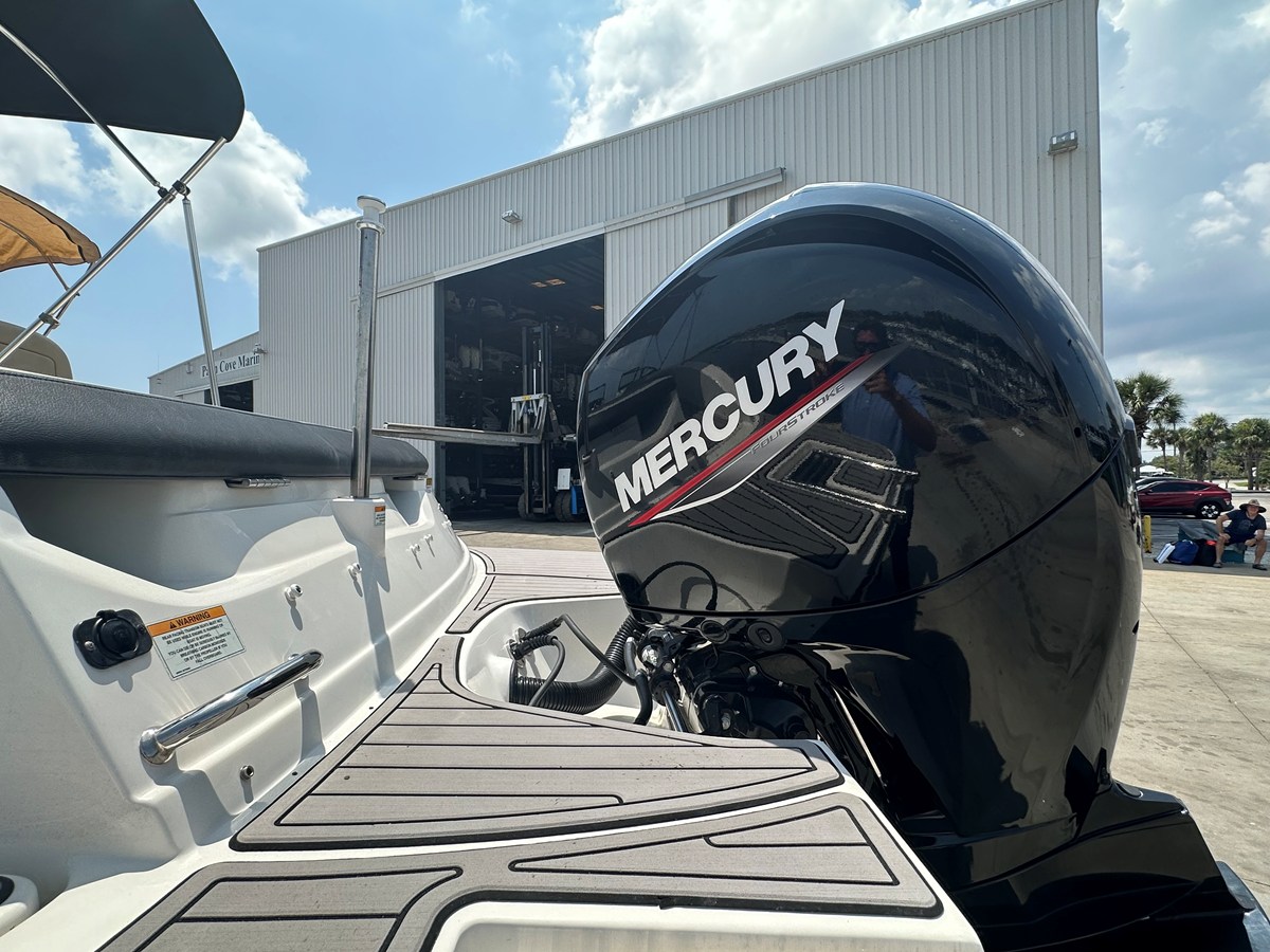 2022 Sea Ray 19 SPX OB 20