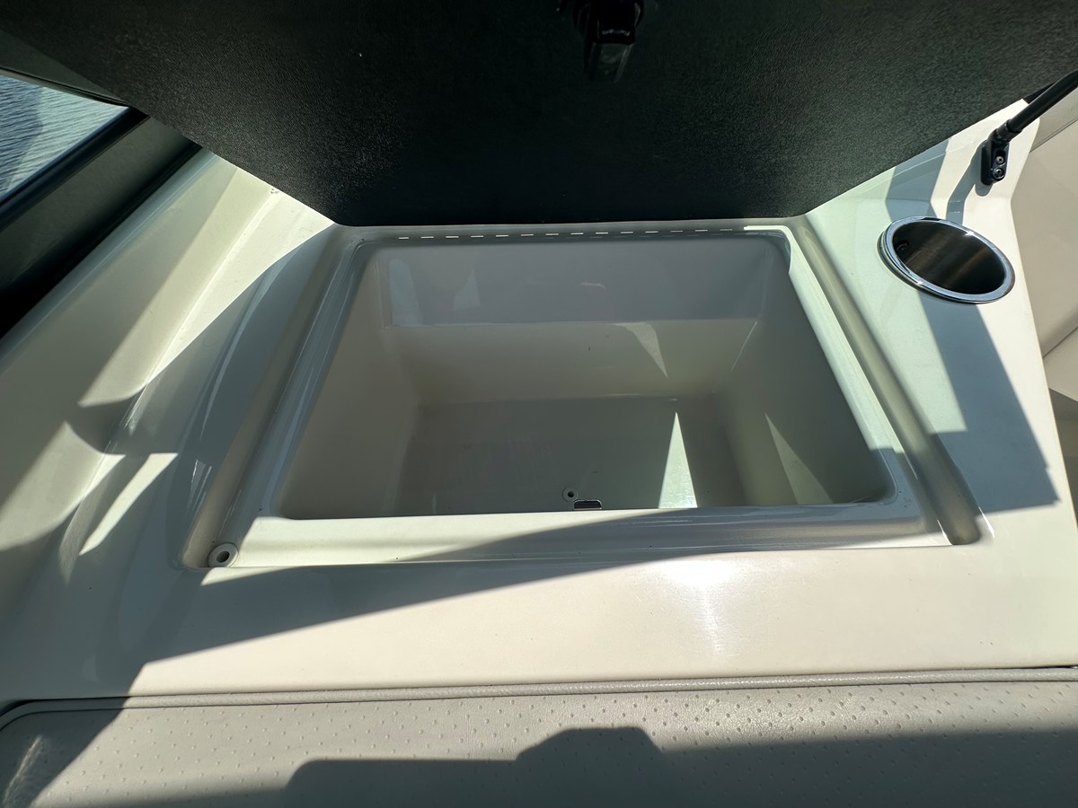 2022 Sea Ray 19 SPX OB 45