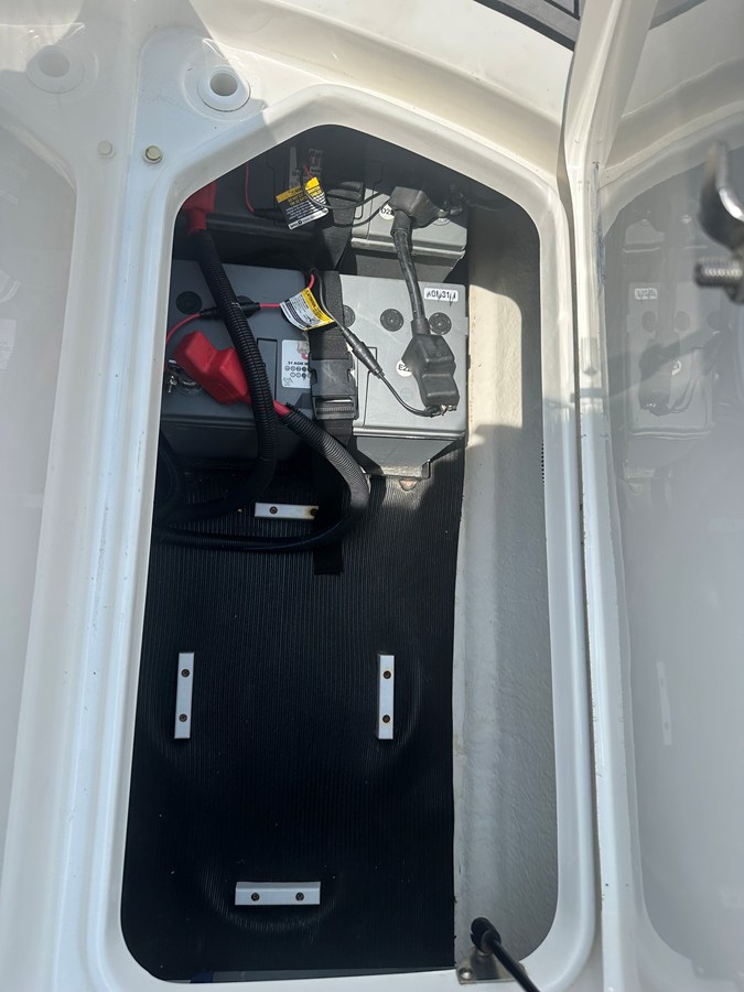 2022 Sea Ray 19 SPX OB 52