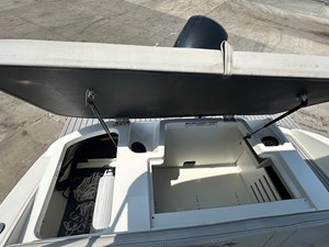 Sea Ray 19 SPX OB 29 2022 Sea Ray 19 SPX OB 30