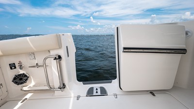 2027 Boston Whaler 380 Outrage 31