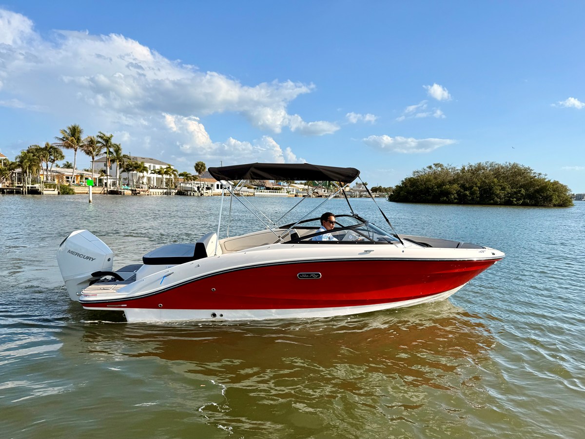 2026 Sea Ray SPX 210 Outboard 4