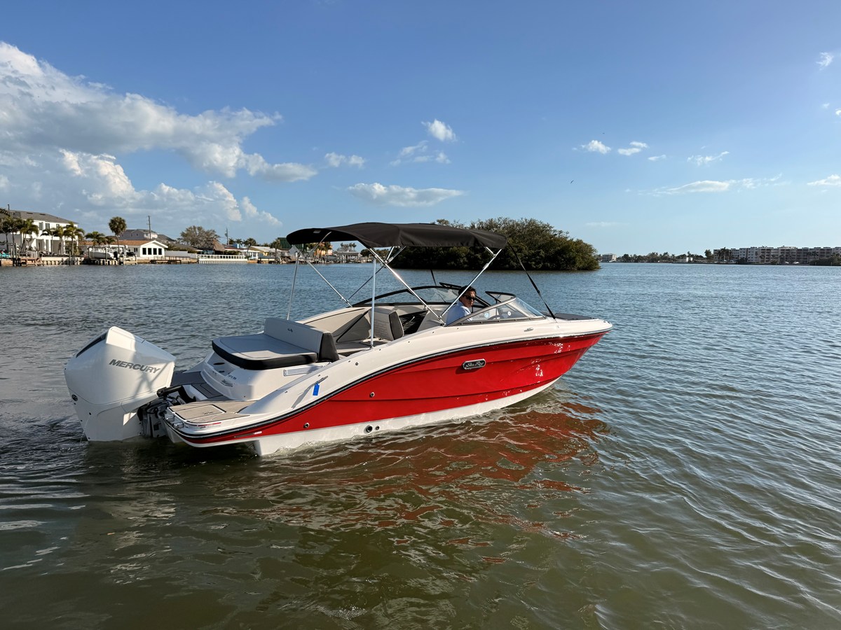 2026 Sea Ray SPX 210 Outboard 6