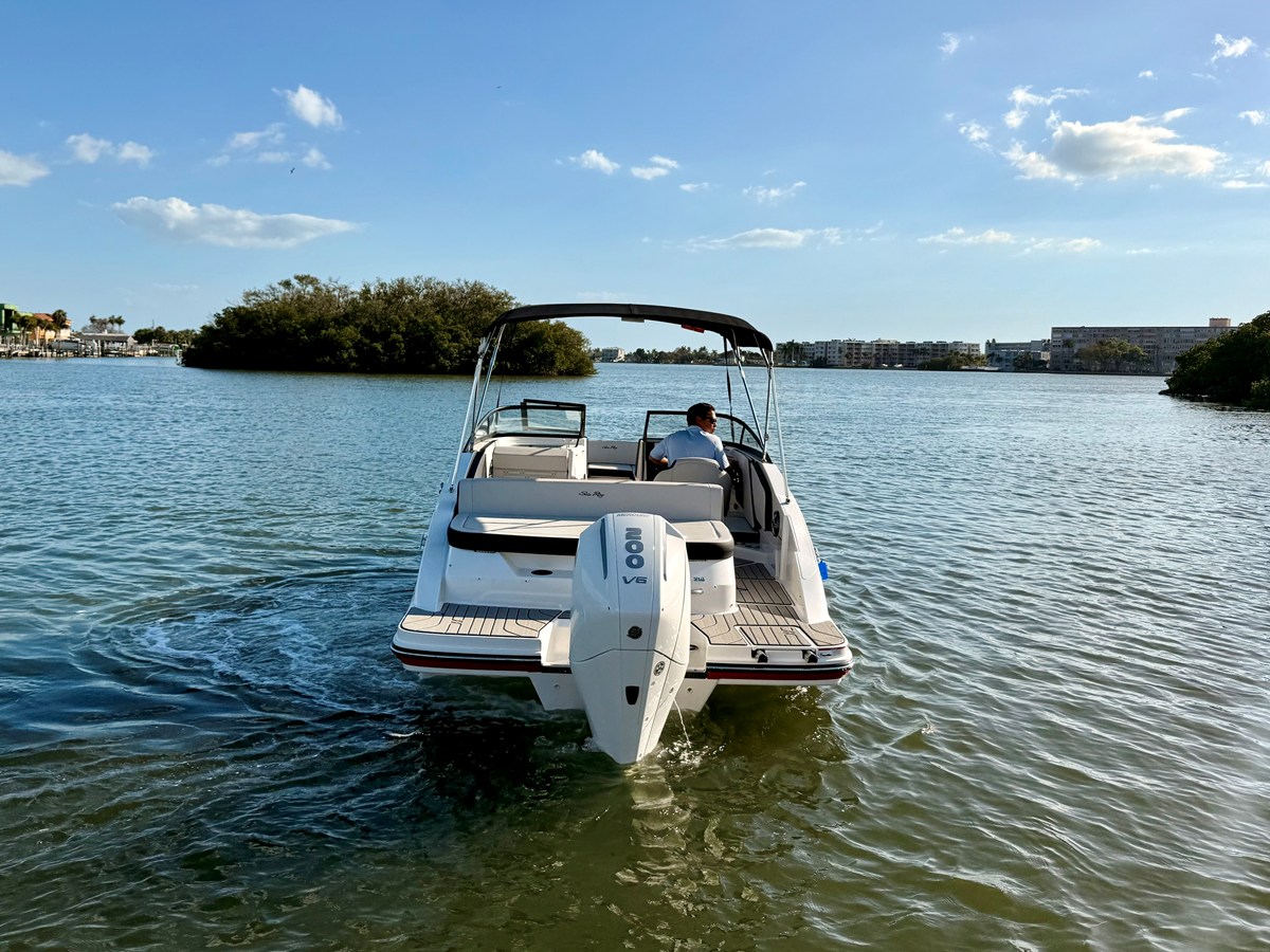 2026 Sea Ray SPX 210 Outboard 7