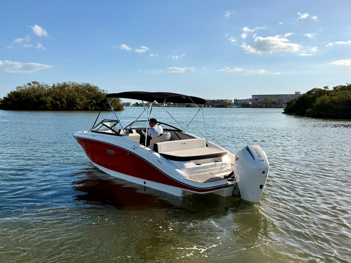 2026 Sea Ray SPX 210 Outboard 10