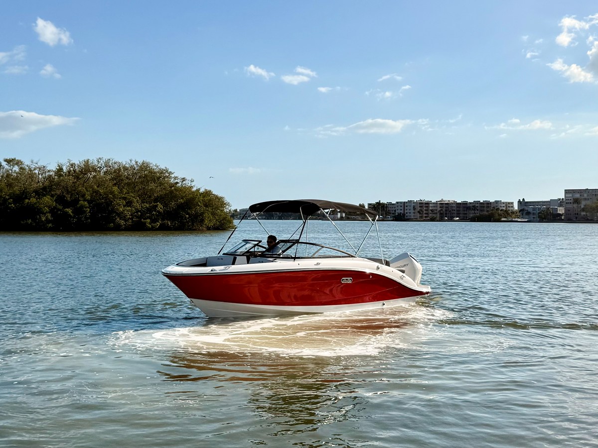 2026 Sea Ray SPX 210 Outboard 19