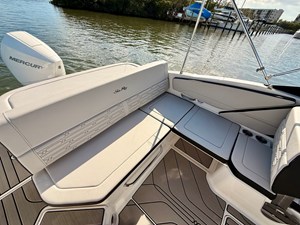 2026 Sea Ray SPX 210 Outboard 31
