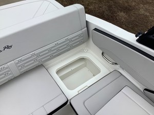 2026 Sea Ray SPX 210 Outboard 13