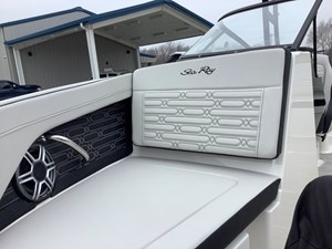 2026 Sea Ray SPX 210 Outboard 21