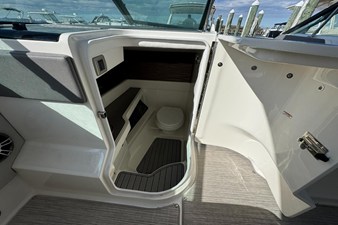 Sea Ray SLX 310 23 2021 Sea Ray SLX 310 24