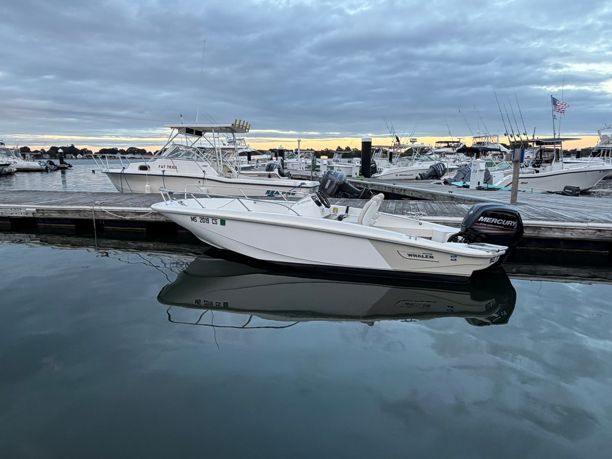 2019 Boston Whaler 160 SPORT 8