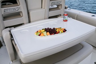 2027 Boston Whaler 330 Outrage 11
