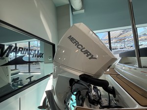 2026 Sea Ray SPX 210 Outboard 7