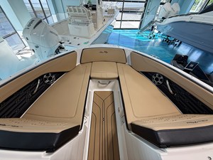 2026 Sea Ray SPX 210 Outboard 9