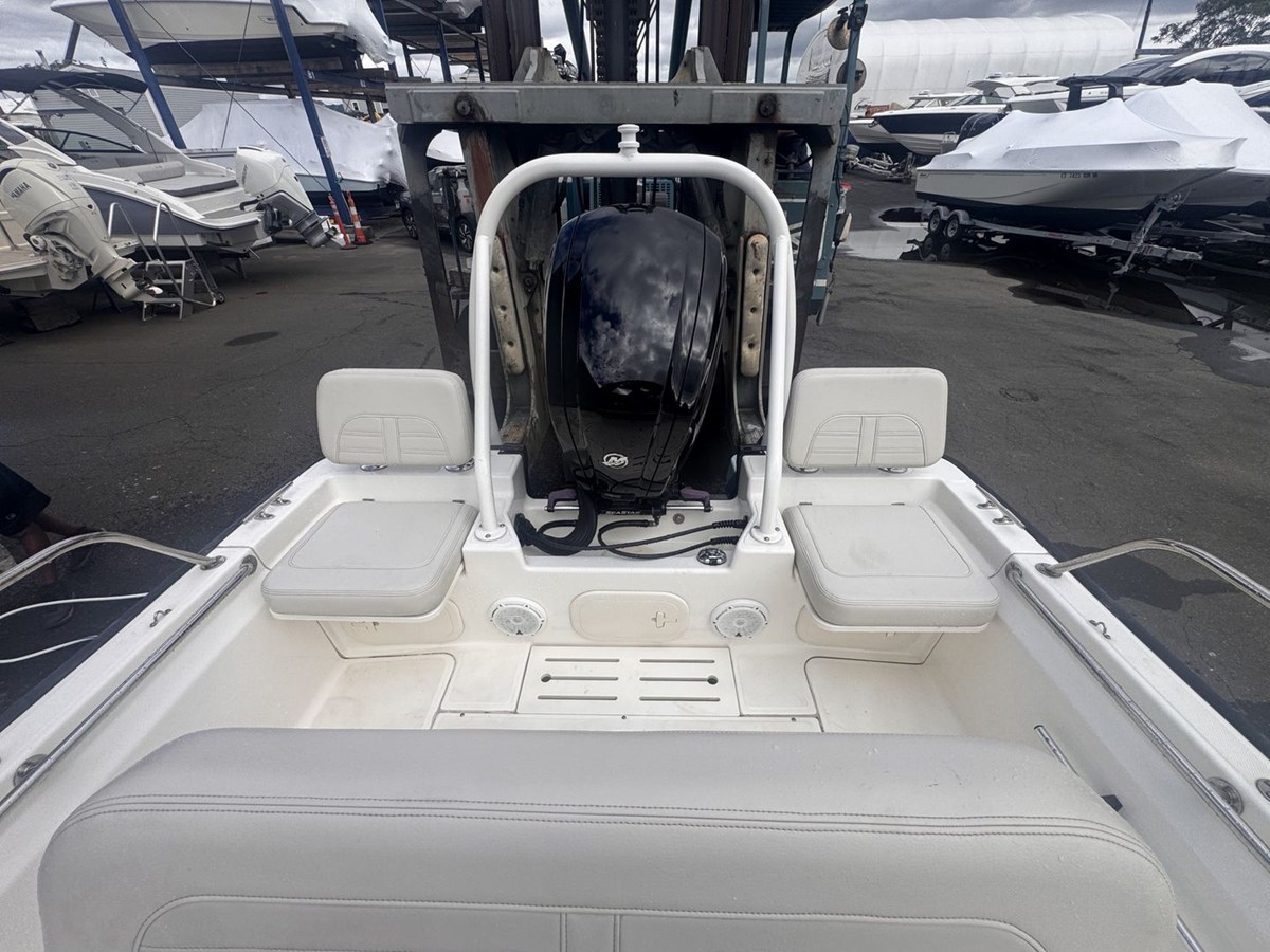 2022 Boston Whaler 17 MONTAUK 6