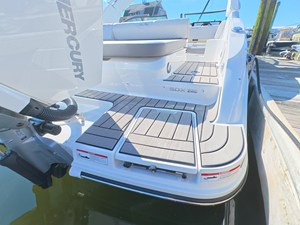 2026 Sea Ray SDX 250 Outboard 11