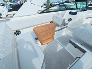 2026 Sea Ray SDX 250 Outboard 16