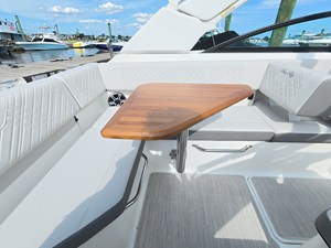 2026 Sea Ray SDX 250 Outboard 17