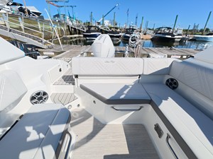 2026 Sea Ray SDX 250 Outboard 18