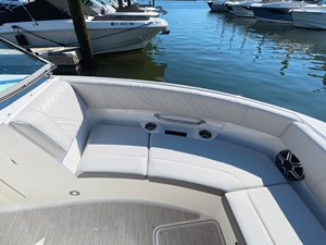 2026 Sea Ray SDX 250 Outboard 31