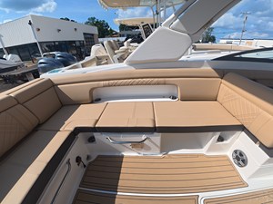 2027 Sea Ray SDX 290 Outboard 8
