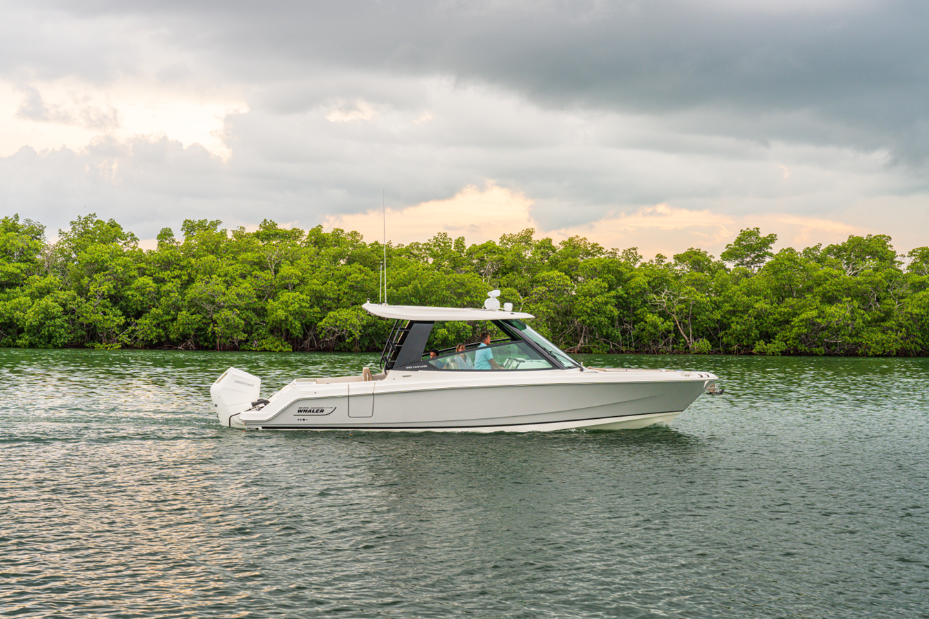 2027 Boston Whaler 330 Vantage 5